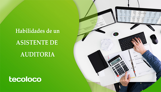asistente de auditoria