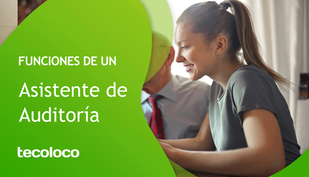 asistente de auditoria